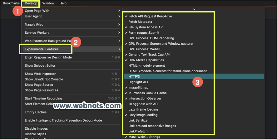 在 Safari macOS 中启用或禁用实验性功能