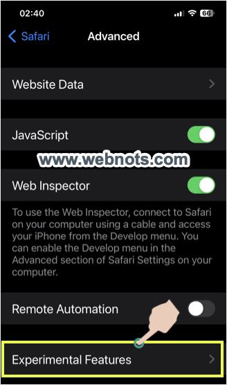 在 Safari iPhone 中打开 Webkit 实验性功能