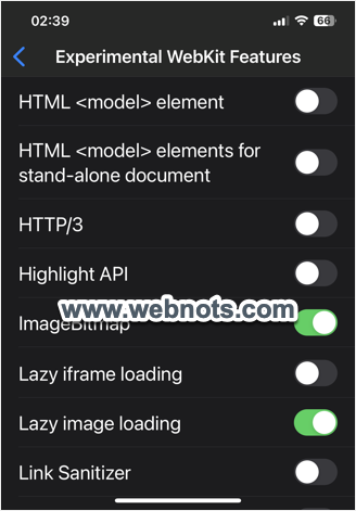 在 Safari iPhone 中启用或禁用实验性功能