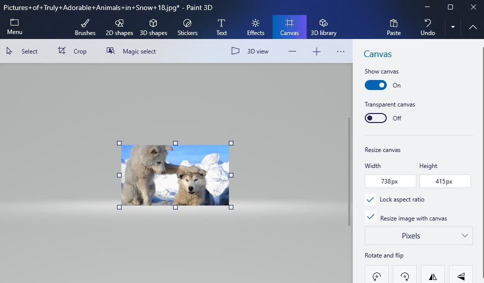 Paint 3D 中的调整图像大小选项 