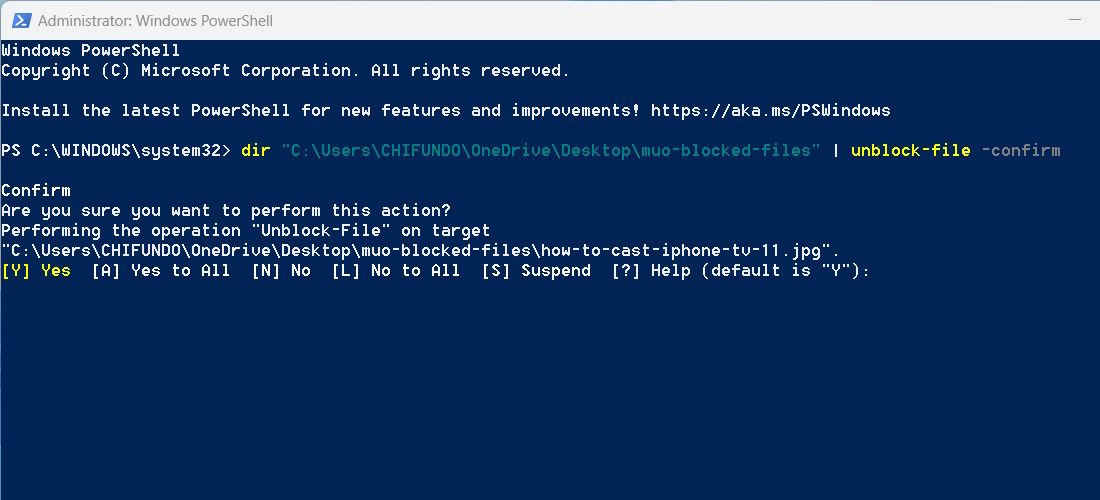 确认要在 Windows 11 上的 PowerShell 中取消阻止的文件