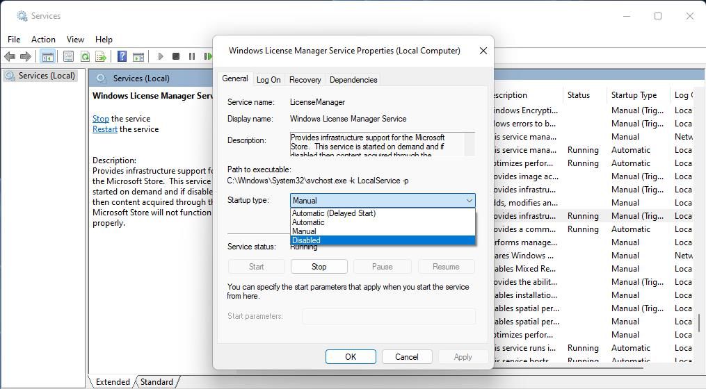 Windows 许可证管理器服务器窗口