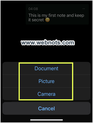 选择发送文件的选项