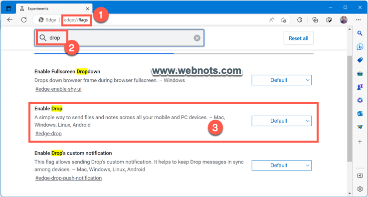 在 Edge 中启用 Drop Flag
