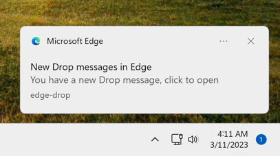 Windows PC 中的边缘掉落通知