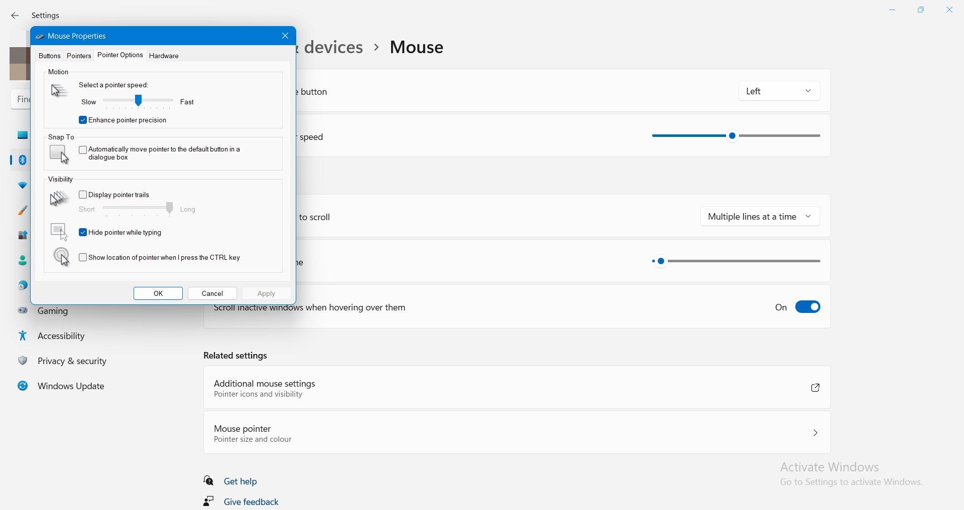 鼠标指针选项windows 11截图