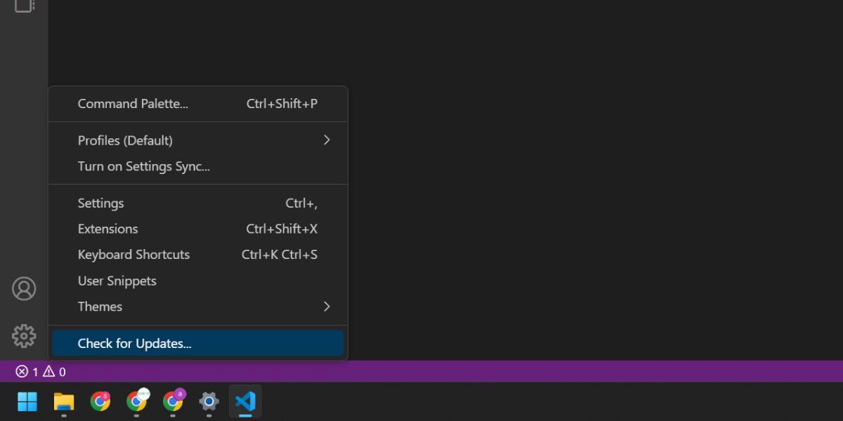 更新 Visual Studio Code