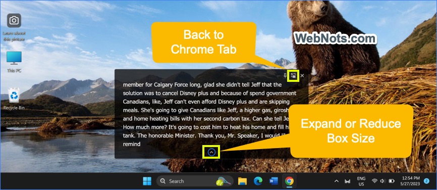 扩大实时字幕框大小或切换回 Chrome 选项卡
