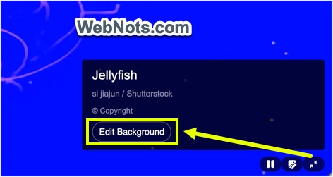 退出全视图图标中的编辑背景选项