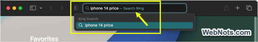 从 Safari Mac 中的智能搜索字段搜索