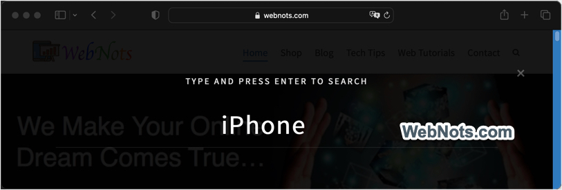 在您的站点中搜索