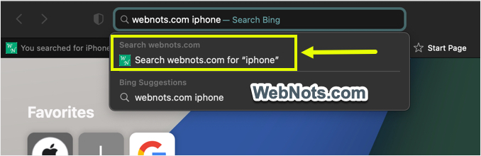 在 Safari 地址栏中使用自定义搜索