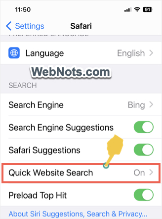 在 Safari iPhone 中启用快速网站搜索
