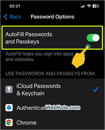 在 iPhone 中启用自动填充密码