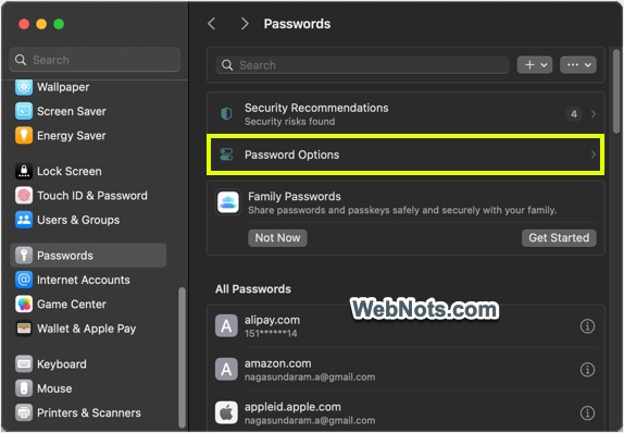在 Mac 中打开密码选项