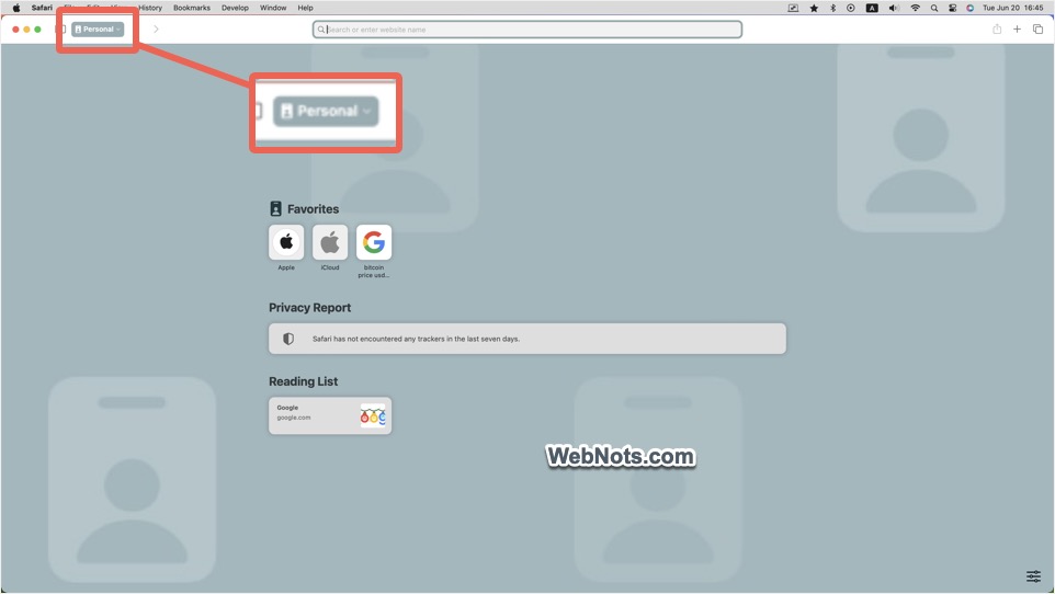 在 Mac 中选择 iPhone Safari 配置文件