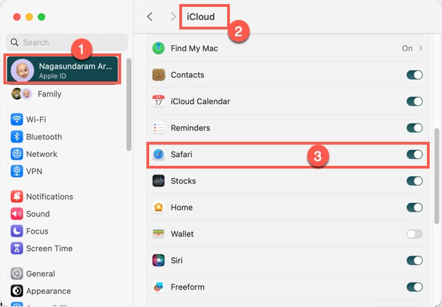 为 Safari Mac 禁用 iCloud 同步