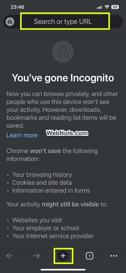 以隐身模式打开任何页面