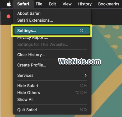 打开 Safari 设置