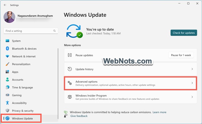 高级 Windows 更新选项