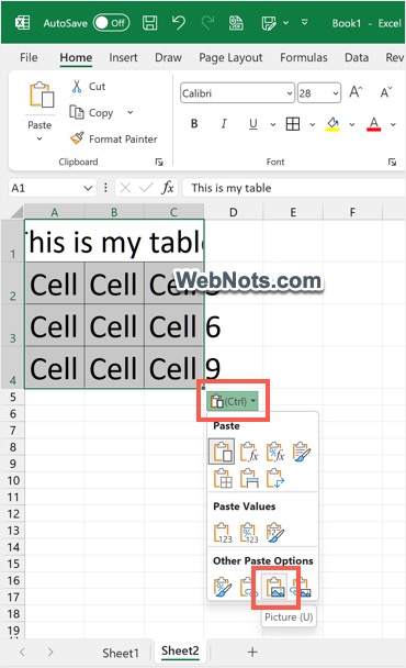 从粘贴选项中选择图片