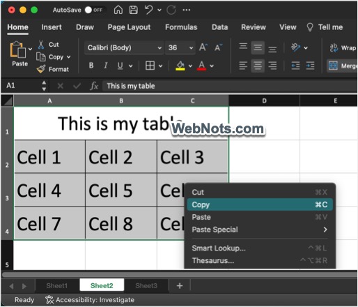 选择并复制单元格数据