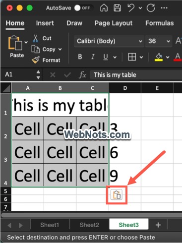 粘贴单元格数据并单击选项