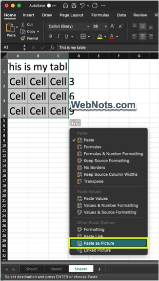 选择粘贴为图片选项