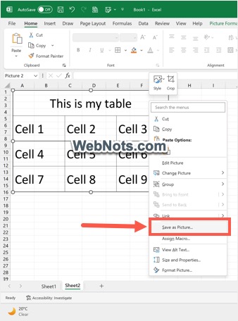 Excel Windows 中的另存为图片选项