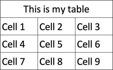 来自 Excel 的表格图像