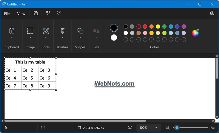 将 PNG 表格图像粘贴到 Paint 中