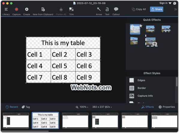 在 Snagit 中处理图像