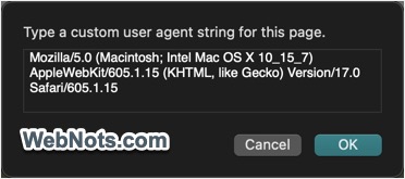 输入自定义用户代理