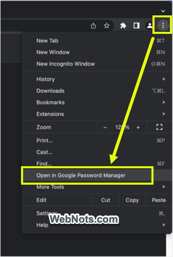 在 Google 密码管理器中打开