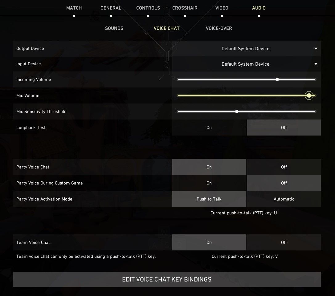 在 Valorant 的语音聊天选项卡中将麦克风音量设置为高