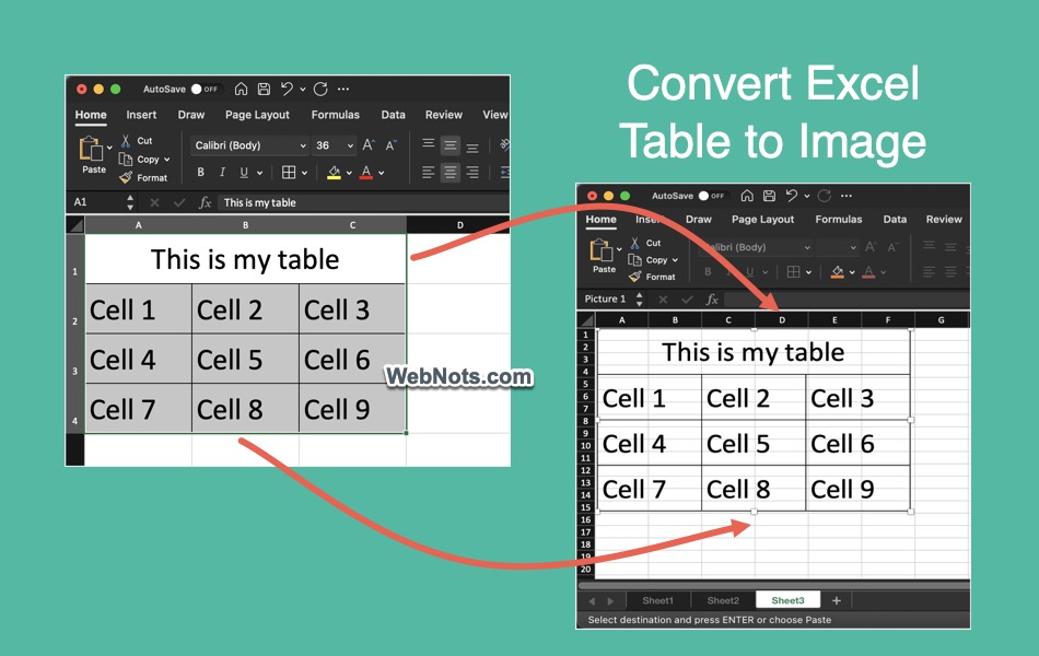 Convert Excel Table to Image
