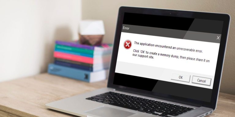 laptop showing the application encountered an unrecoverable error in roblox on windows