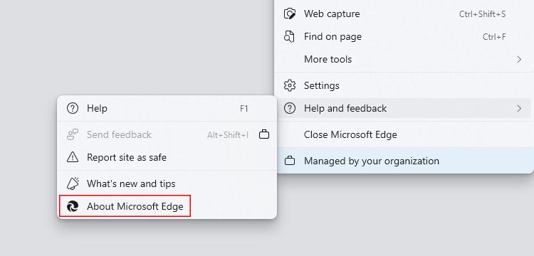 Microsoft Edge 更多选项