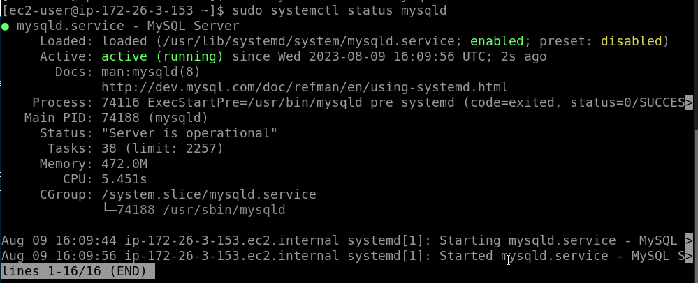 MySQL 服务状态