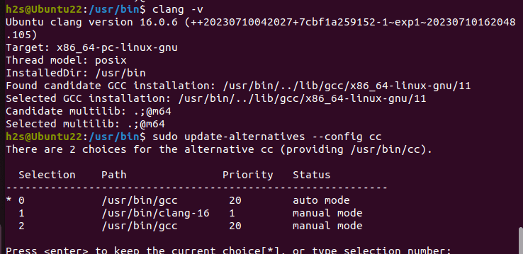 设置 Clang 默认版本