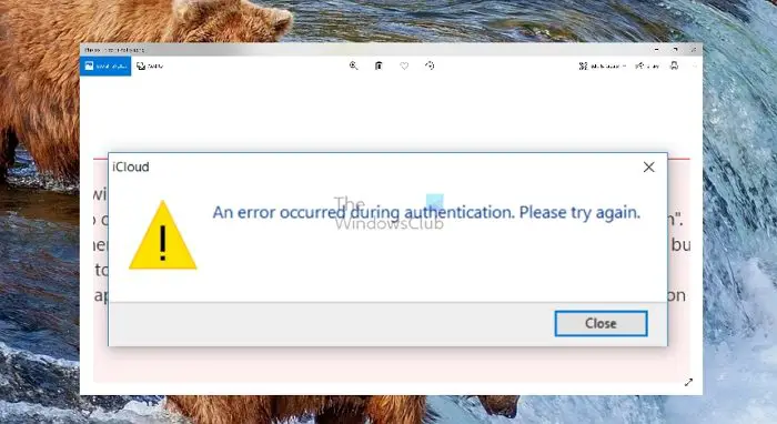 An error occurred during authentication iCloud error