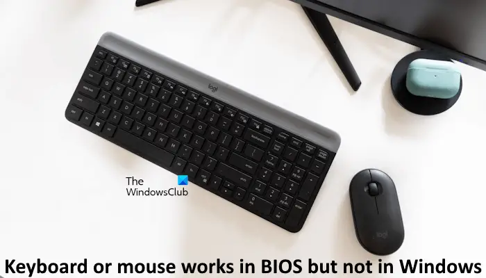 Keyboard mouse works BIOS not Windows