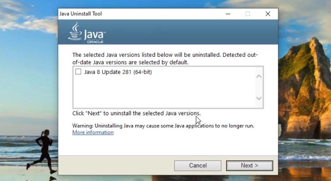 Java 版本复选框 