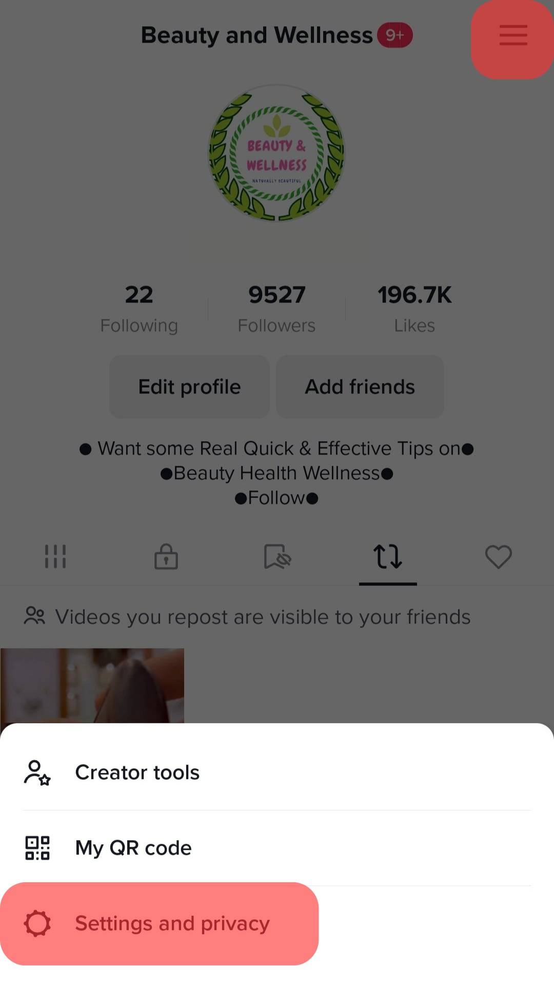 Tiktok 上的设置和隐私