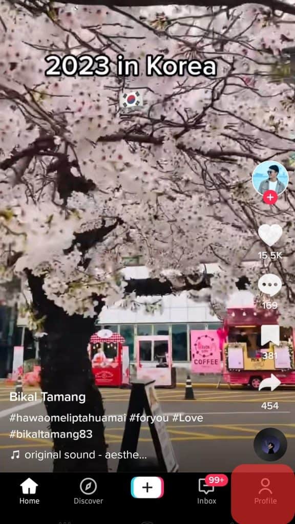 个人资料选项卡 Tiktok