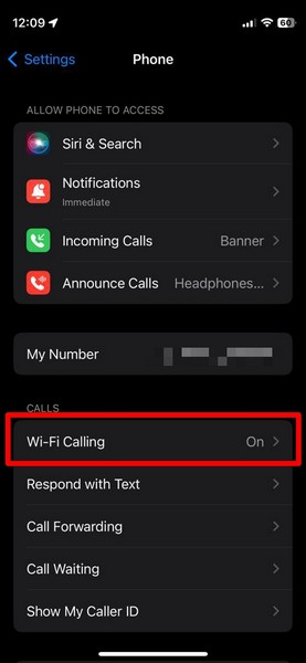 电话应用程序 iPhone 设置 Wi-Fi 通话 2