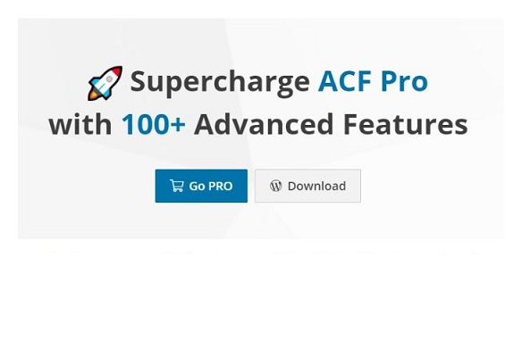 ACF扩展插件Advanced Custom FieldsExtended PRO