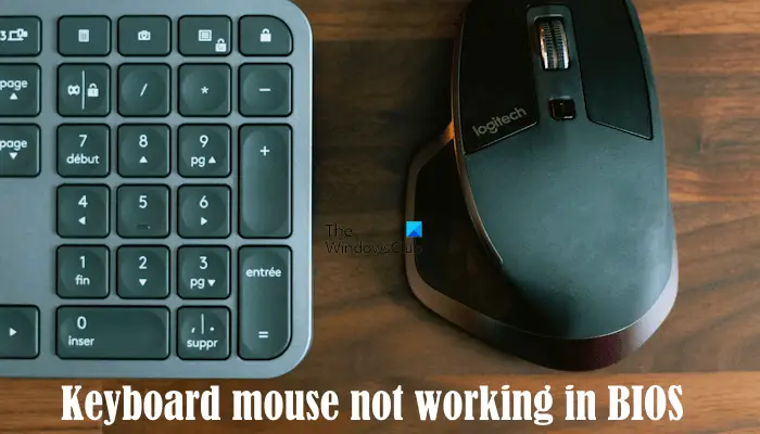 Keyboard Mouse Not Working In Bios.png
