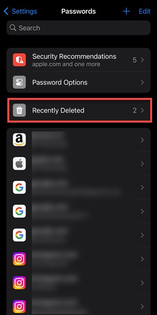 iOS 17 中的“最近删除”选项