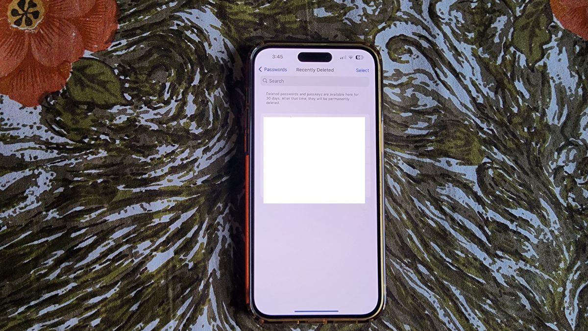 Recover deleted passwords on iphone in ios 17.jpg